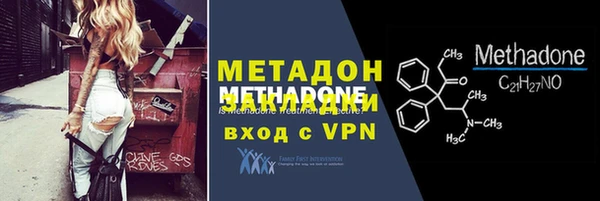 прущие грибы Абаза