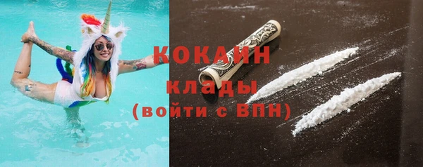 прущие грибы Абаза
