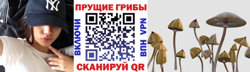 Галлюциногенные грибы мицелий Калачинск