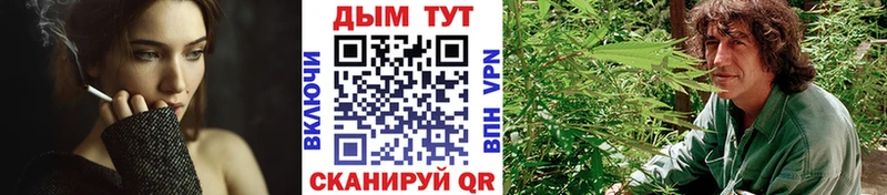 Марихуана сатива  Калачинск 